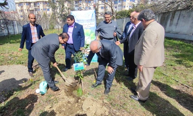 1189 اصله نهال همزمان با روز درختکاری در مازندران کاشته شد 1