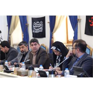 شورای راهبری توسعه شبکه ملی اطلاعات