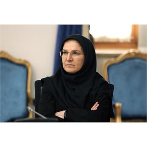 جلسه هم اندیشی چالش های کسب و کارهای حوزه اقتصاد دیجیتال